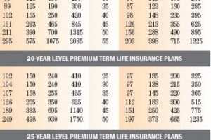Life Insurance Rates