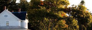 Home in Fall