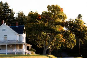 Home in Fall