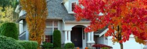 Home during fall