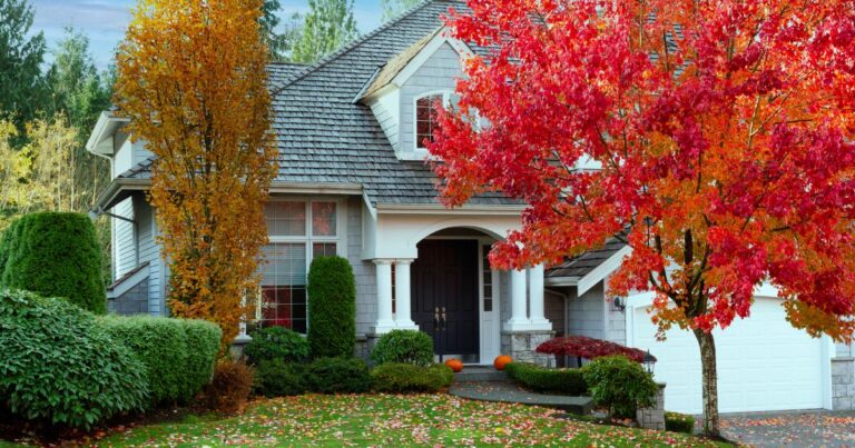 Home during fall